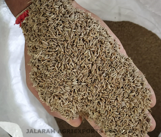 Cumin seed in malay