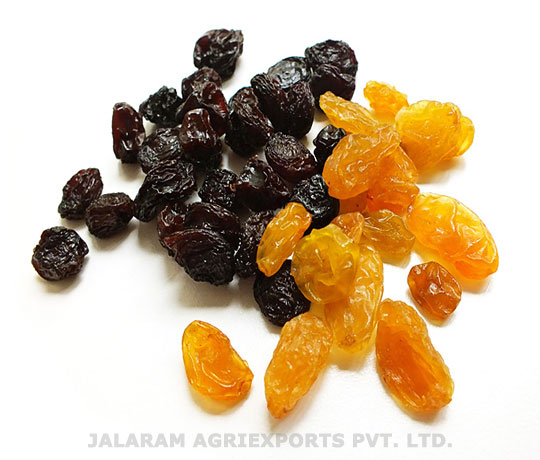 Raisins – Jalaram Agriexports Ltd.