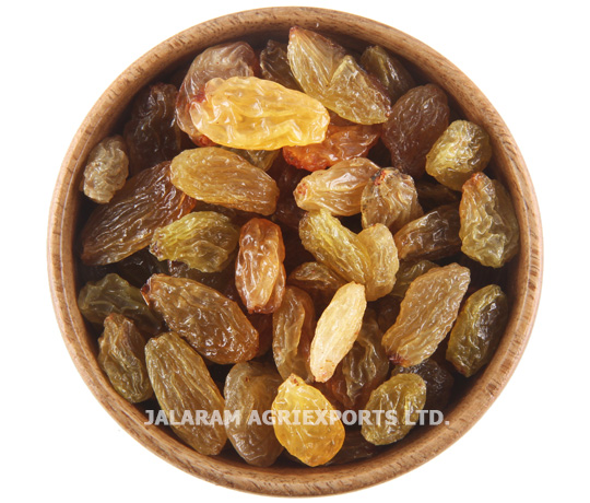 Raisins – Jalaram Agriexports Ltd.